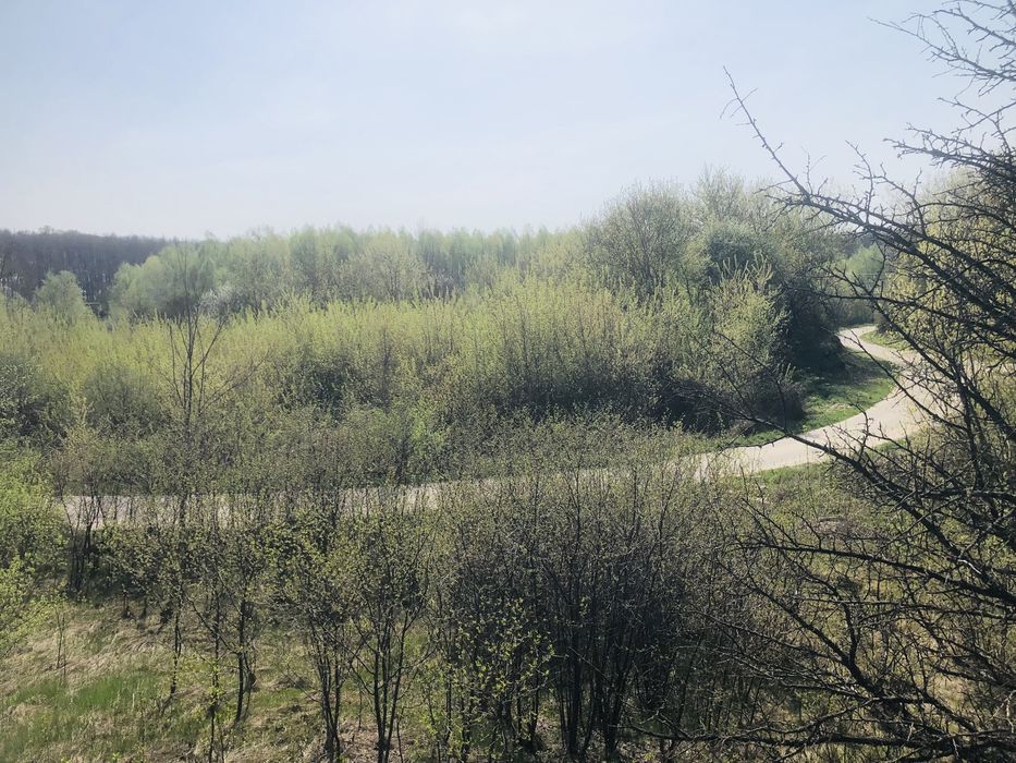 Земельна ділянка з асфальтованим під‘їздом