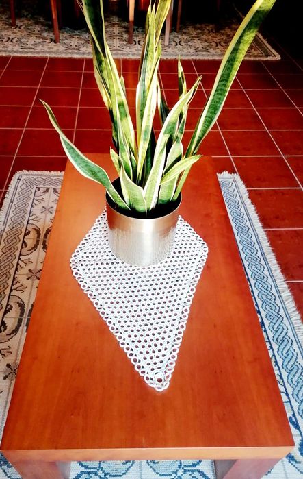 Centro de Mesa em Renda