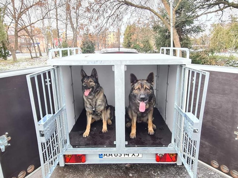 Прицеп , причіп для перевозки собак.