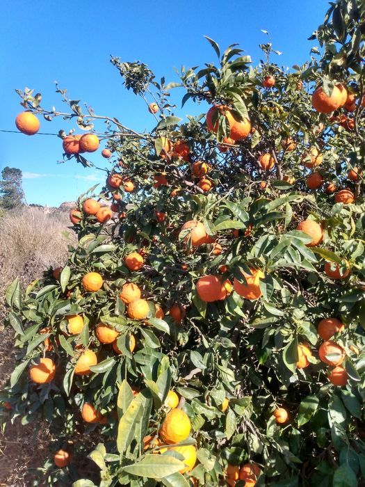 Hiszpanka (native speaker) nauczy Cię hiszpańskiego