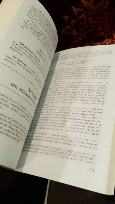 A Cura Popular pela Comida - Dr, Flávio Rotman