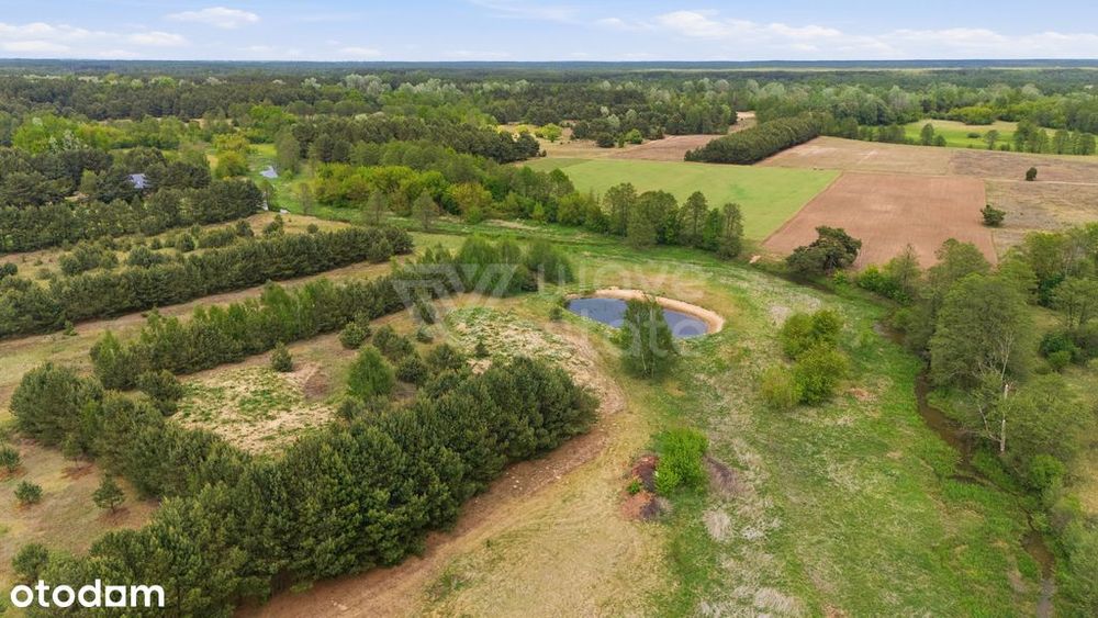 Działka ze stawem blisko Narwi – Małe Mazury - Widok 3