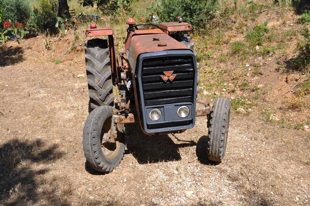 massey  Ferguson  245