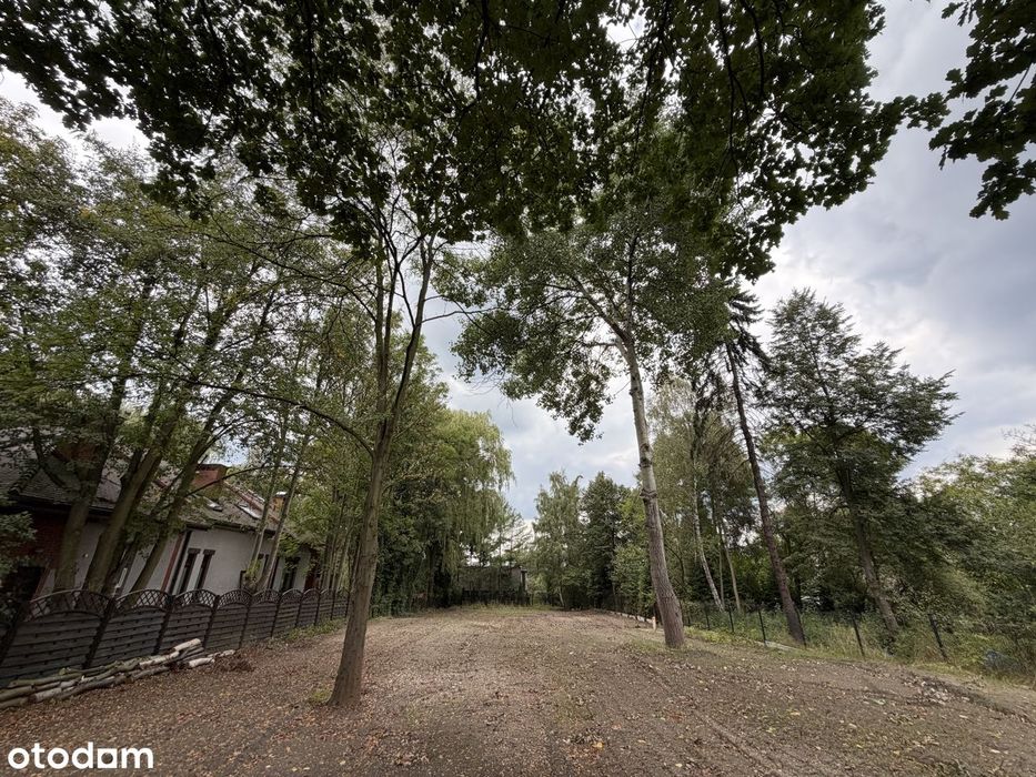 Najlepsza działka pod wille lub inwestyc Katowice Piotrowice, Bażantów - Widok 3