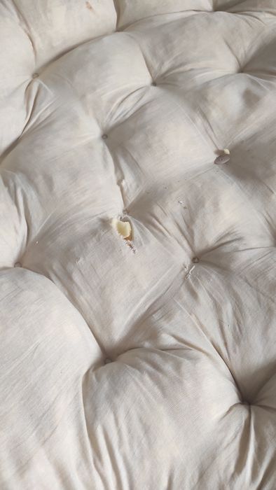 Duży fotel wiklinowy z poduszką.