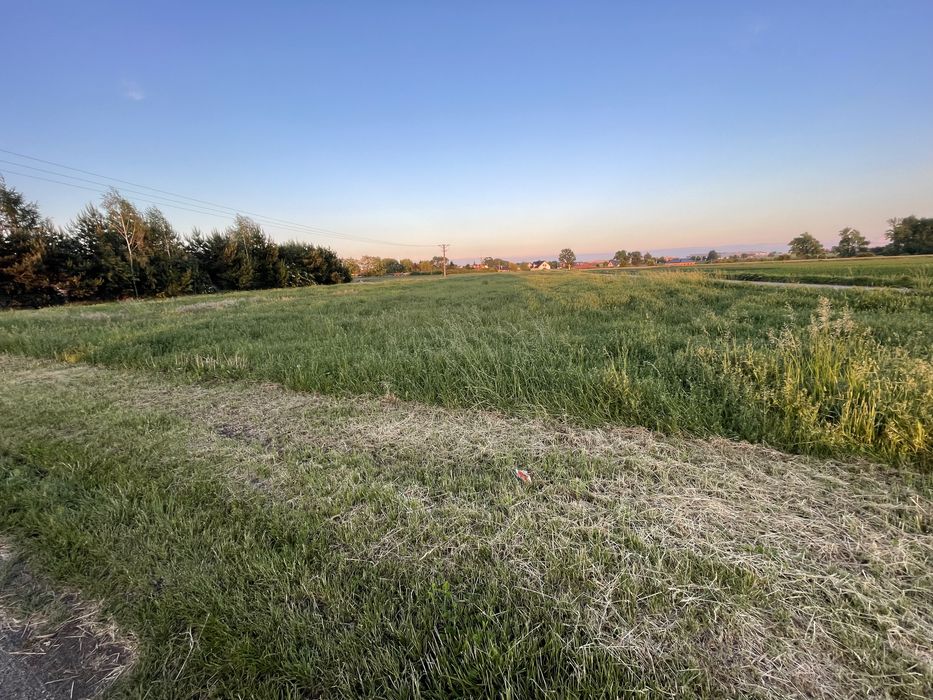 Domasław | 2776 m² | Duża działka budowlano-usługowa
