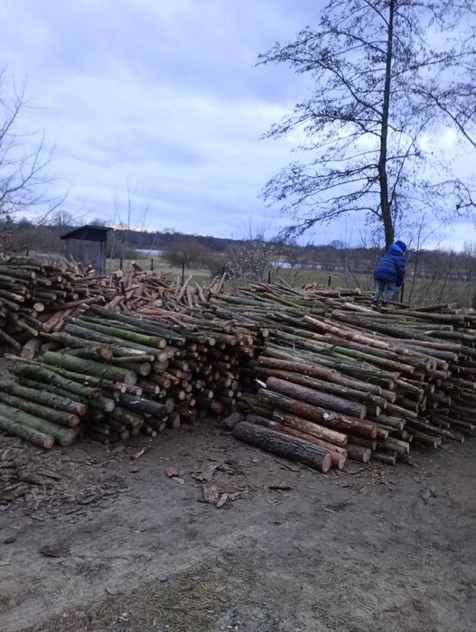 Drewno opałowe tanio