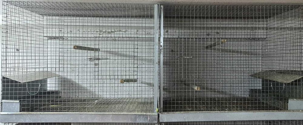 Gaiolas novas e usadas