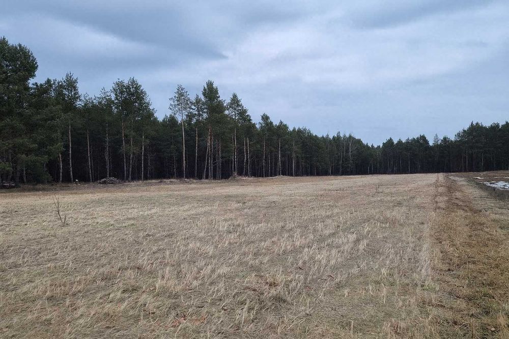 Działka budowlana Miłkowska Karczma 8400 metrów