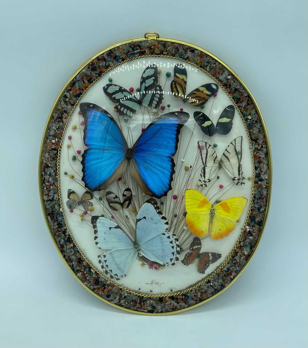 Moldura com Borboletas