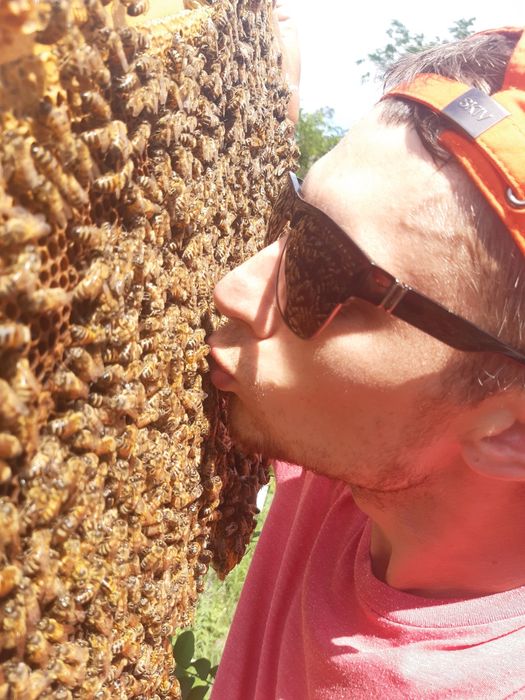 Пчелопакеты Бакфаст