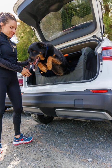 Transportadora Dobrável para 1 Cão Verde