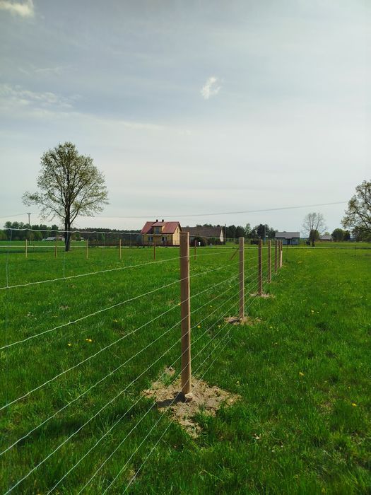 Ogrodzenie budowlane, ogrodzenie tymczasowe, ogrodzenie leśne