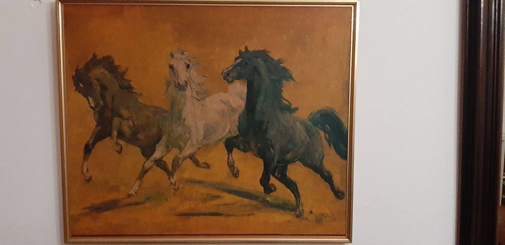 Vários tipos de quadros