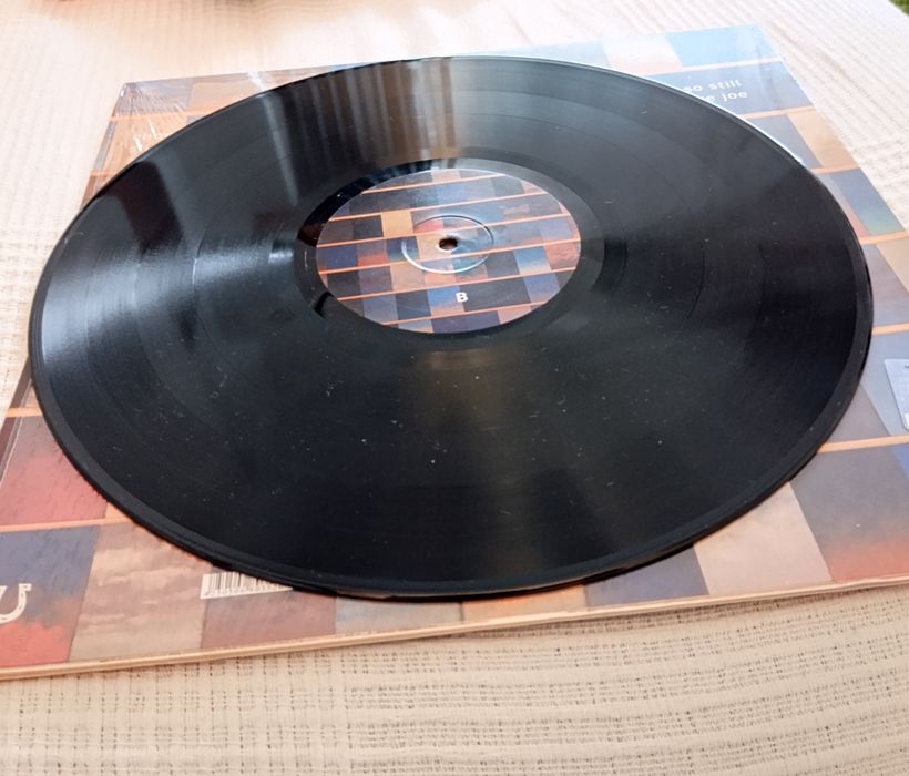 Disco Vinil Tindersticks - The something rain