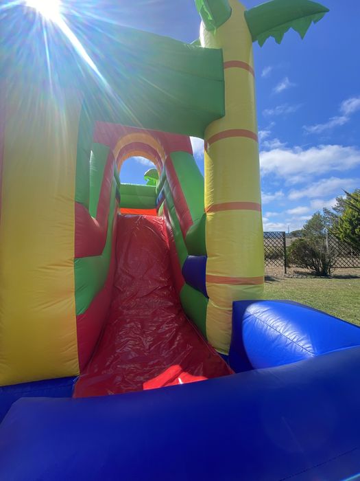 Insuflavel leão - venda