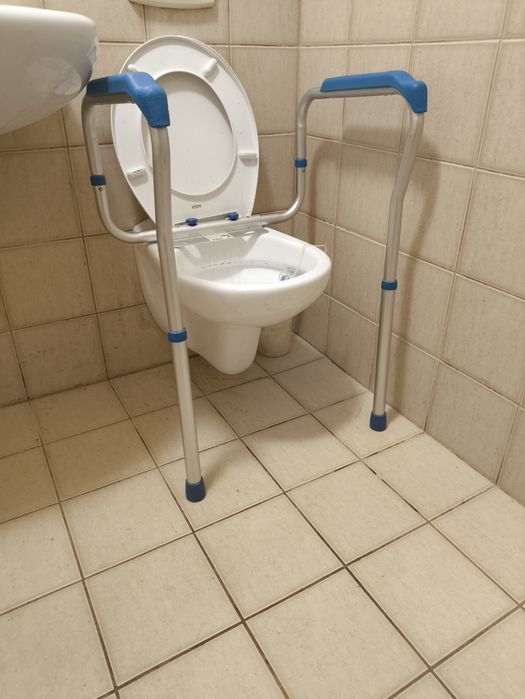 Poręcz asekuracyjna do toalety, Herdegen