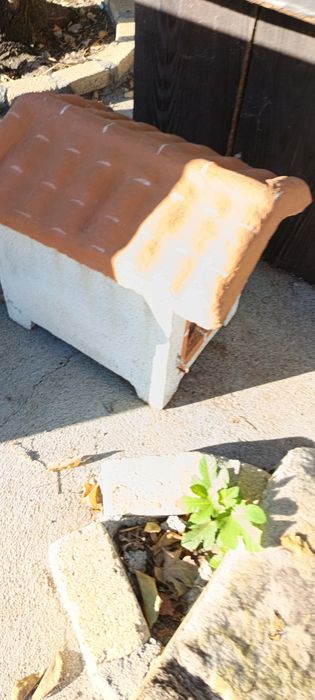 Casita para cão pequeno