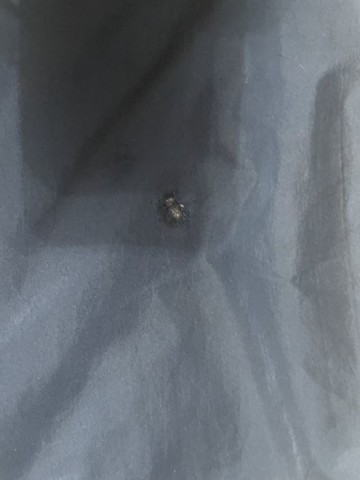 спортивный костюм,футболка umbro