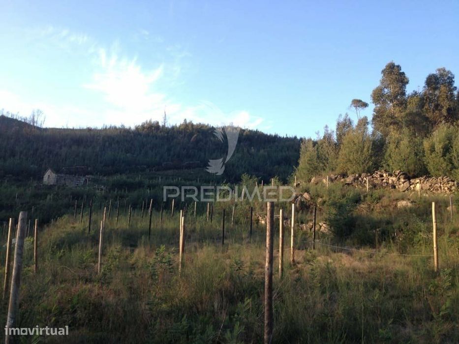 Terreno Cabeceiras de Basto