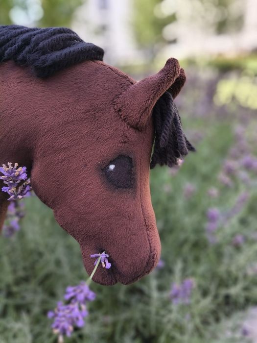 Ksu primadonna hobby horse