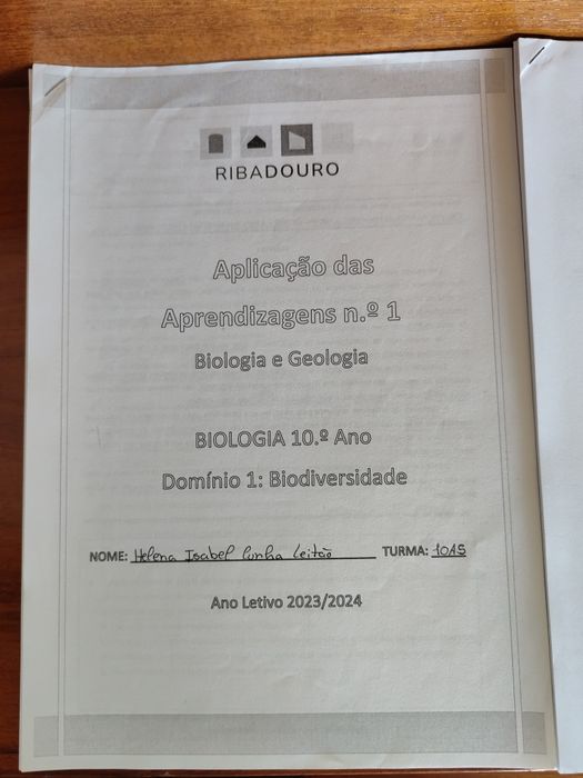 Testes Ribadouro Biologia e Geologia