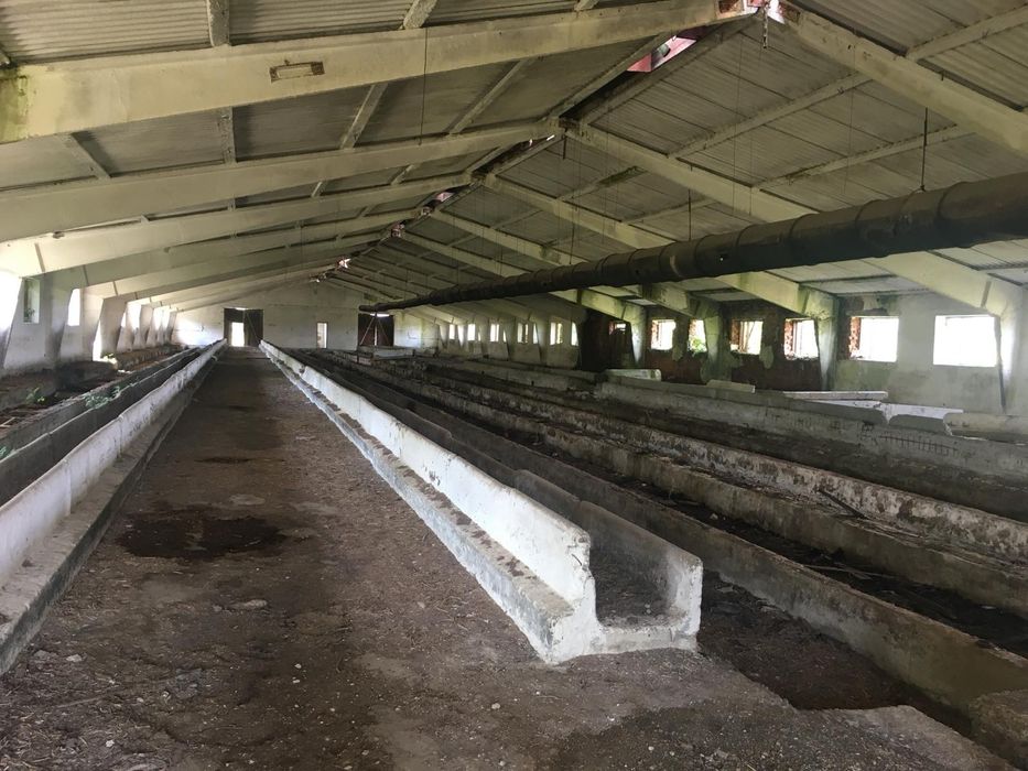 Продам ферму в с. Живачів від Власника, споруди 20,400м2, 16,1га землі