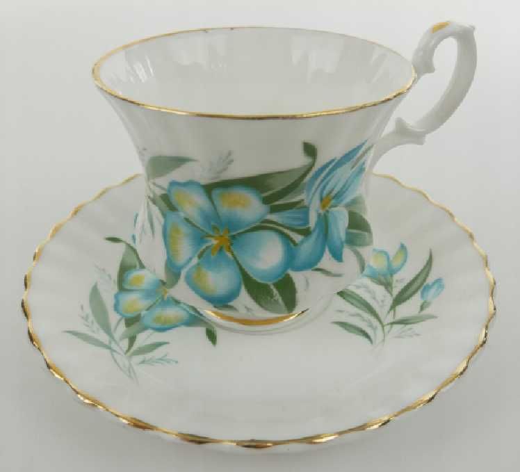 Stara Filiżanka - Porcelana kostna - Princess - Piękna - anglia