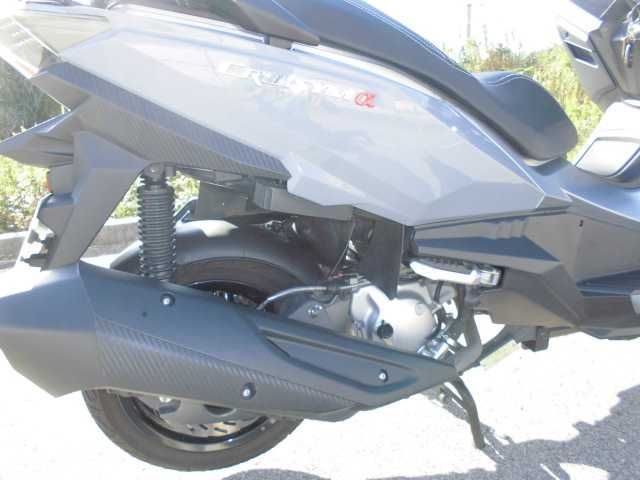 CRUISYM ALPHA 300 Ano 2021