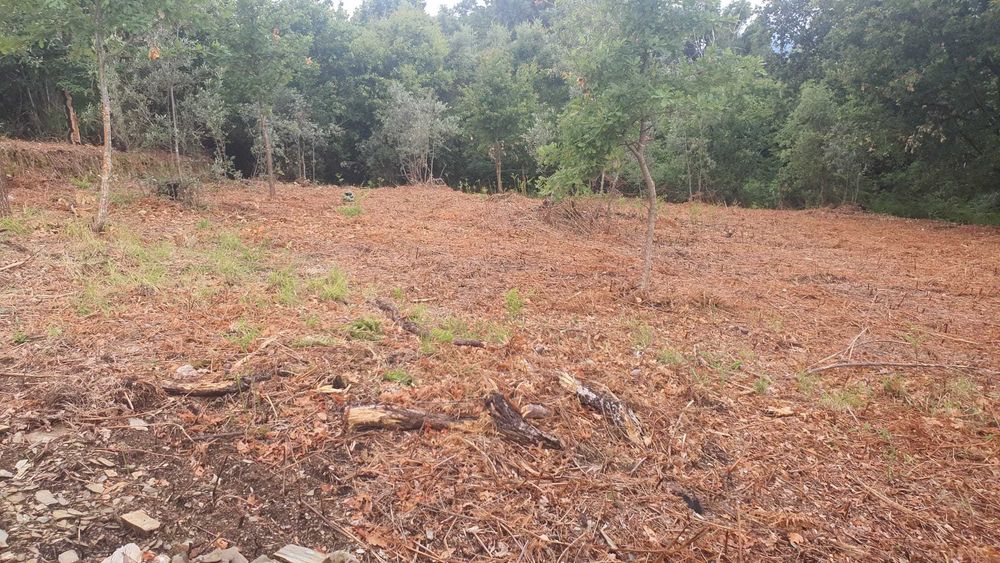 Terreno 1,2 ha com viabilidade de construção – Esculca