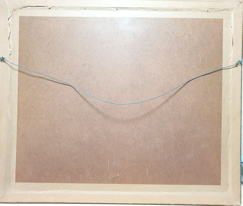 Grande antiga litografia francesa "retrato de uma mulher" emoldurada