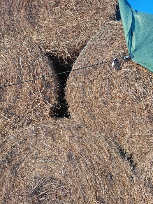 Siano    sianokiszonka transort