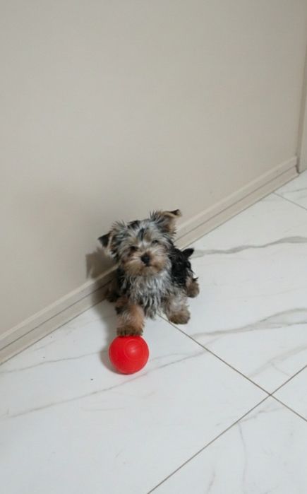 Позитивна дівчинка  .