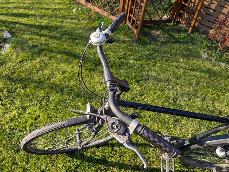 Rower męski Tigra