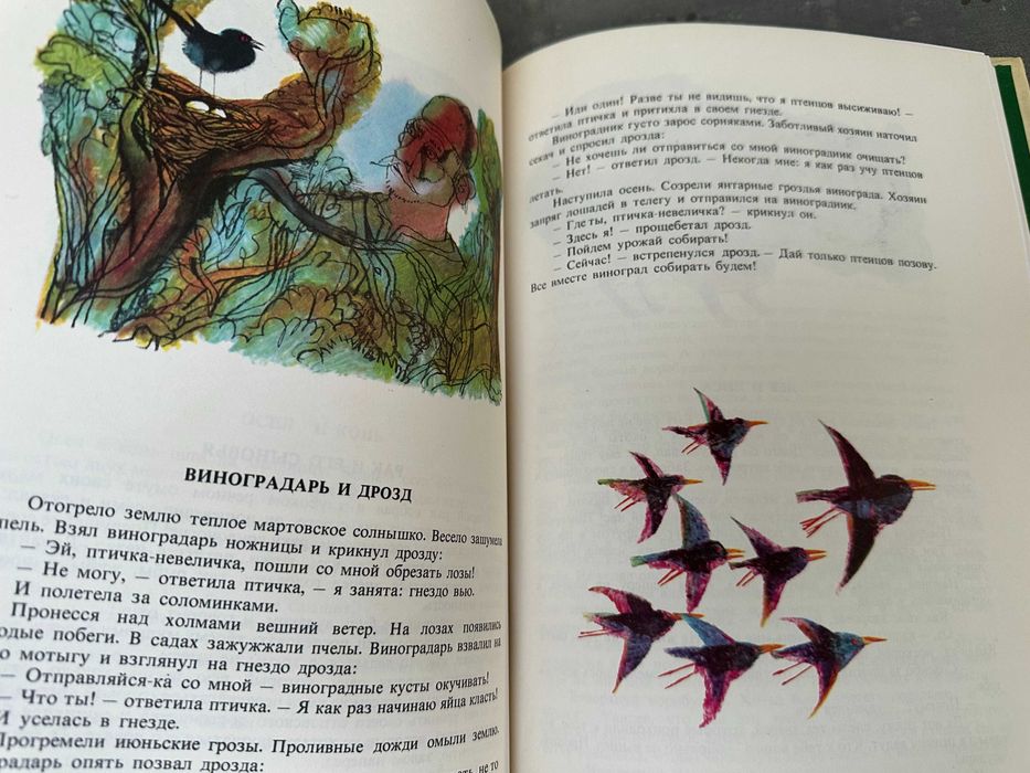 Болгарские сказки, Почта должна дойти