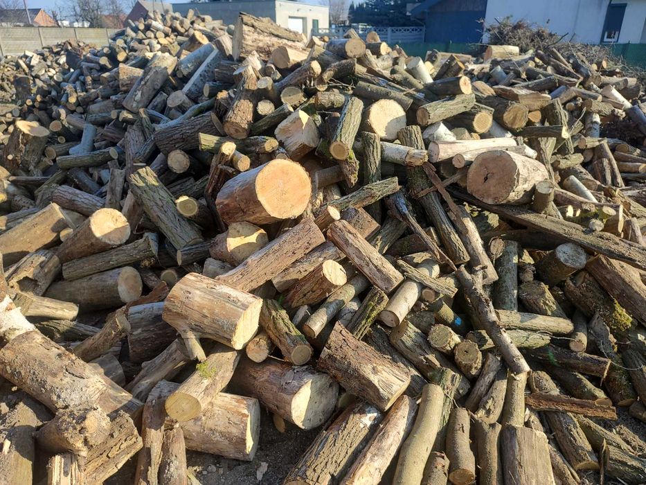 Wycinki  pielegnacje drzew rębak karczowanie wywóz gałęzi pilarz drwal