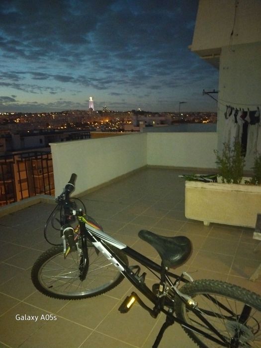 Bicicleta grande GB