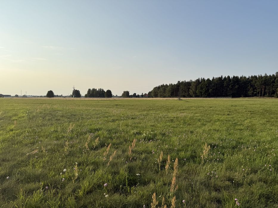Zdjęcie 3