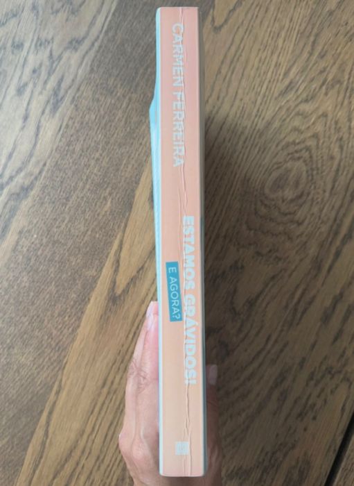 Livro “Estamos grávidos! E agora?” Carmem Ferreira