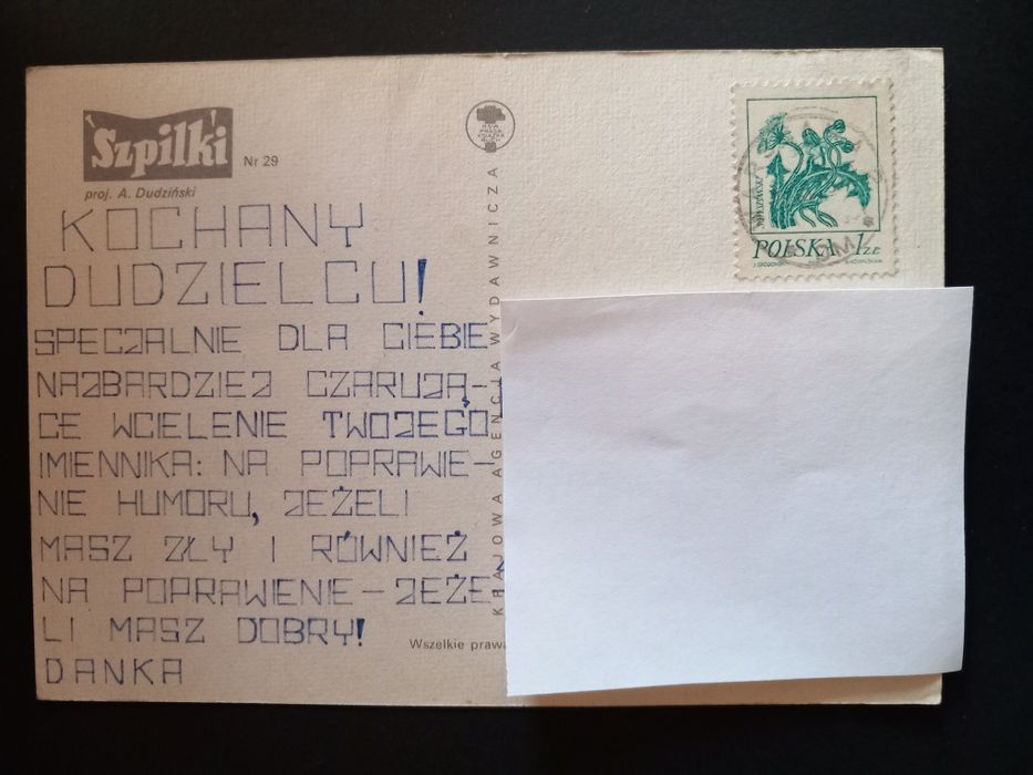 A Dudziński DUDI,Szpilki nr 29.