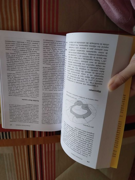 Livro de ciências: neurofisiologia sem lágrimas