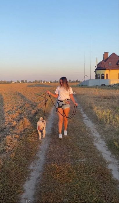 Перетримка для собак, dog sitter, няня для собак від 700 грн/день