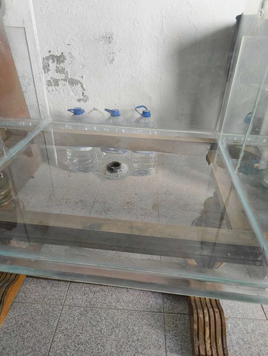 aquário 250 litros