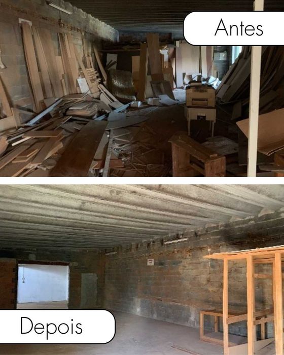 Remoção de monos, Limpezas de terrenos  e muito mais!