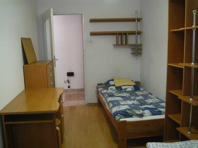 Zdjęcie 2