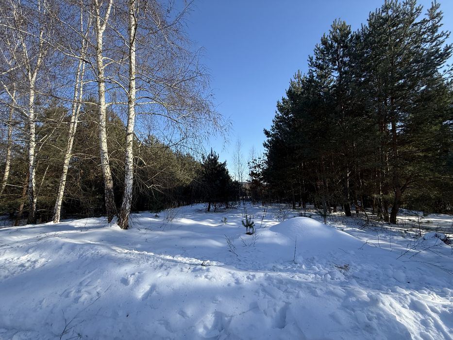 Продаються дві суміжні ділянки 0.15га та 0.2га, с. Лубʼяна