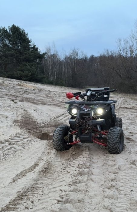 Quad Apollo Grizzly