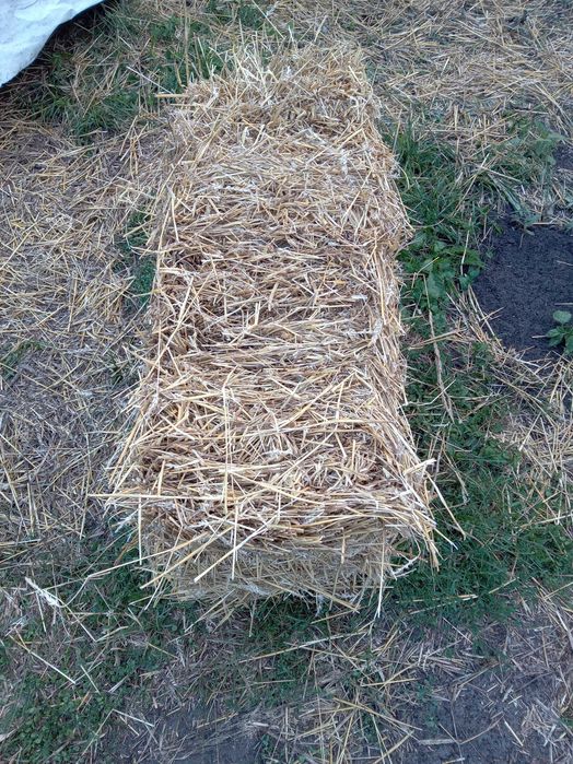 Продам солому різного виду