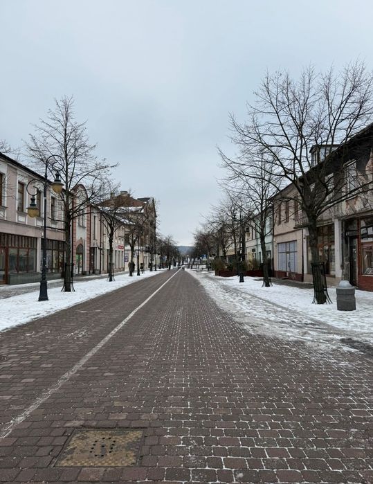 Zdjęcie 6