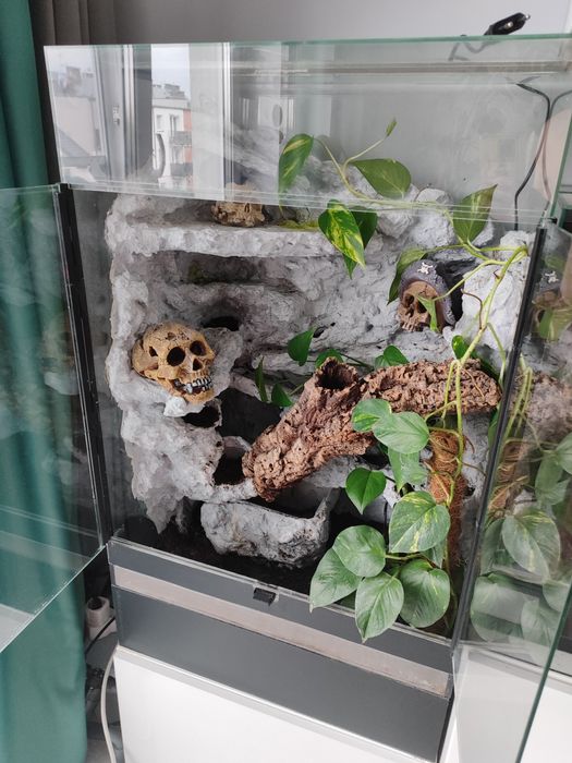 Terrarium  tropikalne z wodospadem, gekon, agama